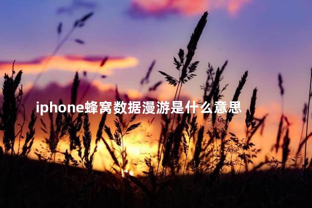 iphone蜂窝数据漫游是什么意思 iphone蜂窝数据是按月算的吗
